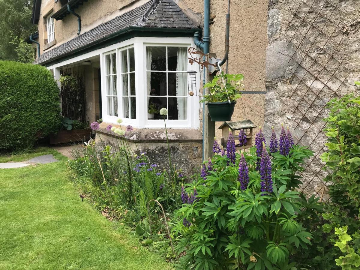 Rowan Cottage, Crannachcottages Garve Exterior photo